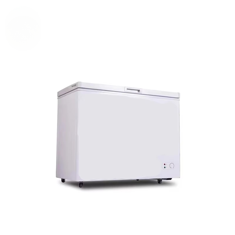 100 ~ 300 litros de pequena ca - Commercial Chest Freezer avaliação e preço